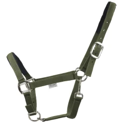EQUEST Halfter Dual Plus