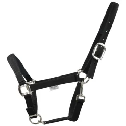 EQUEST Halfter Dual Plus
