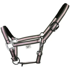 EQUEST Halfter Dual Plus