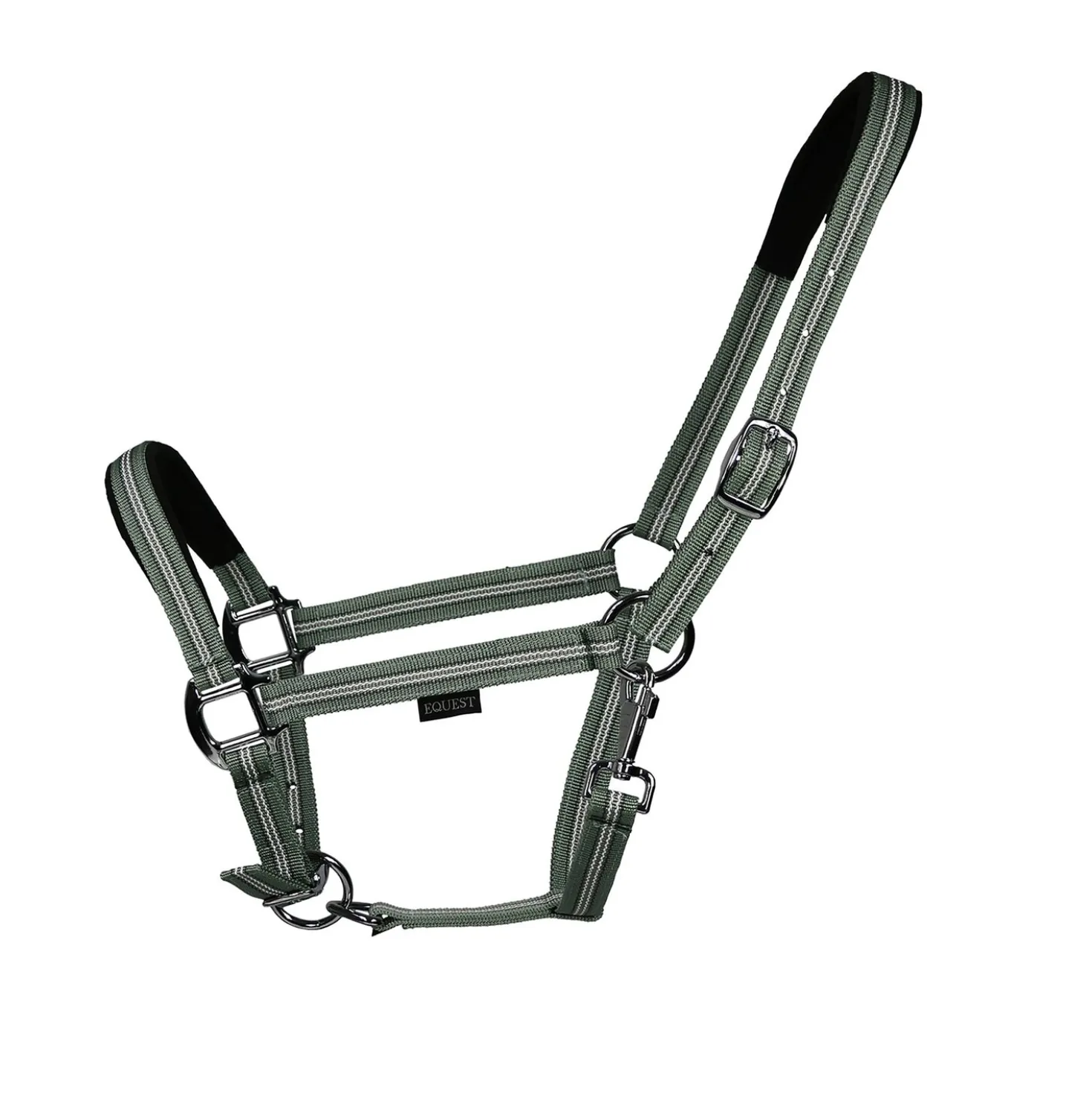 EQUEST Halfter Dual Plus