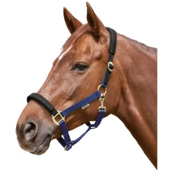 EQUEST Halfter Equi-Stretch