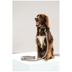 ESKADRON Classic Sports Hunde Set Leather