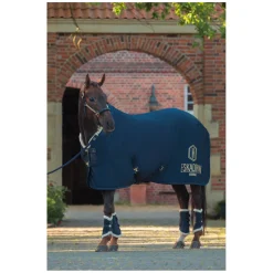 ESKADRON Heritage Abschwitzdecke Aerial Jersey