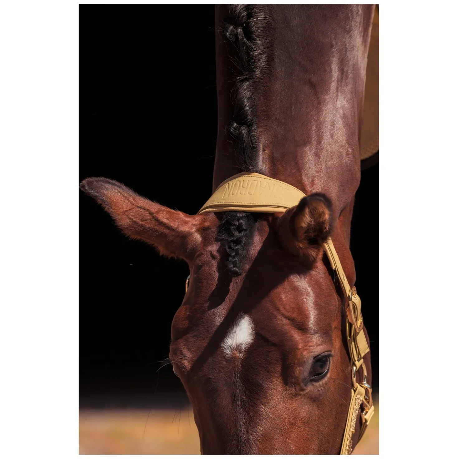 ESKADRON Heritage Halfter Faux Leather Double Pin