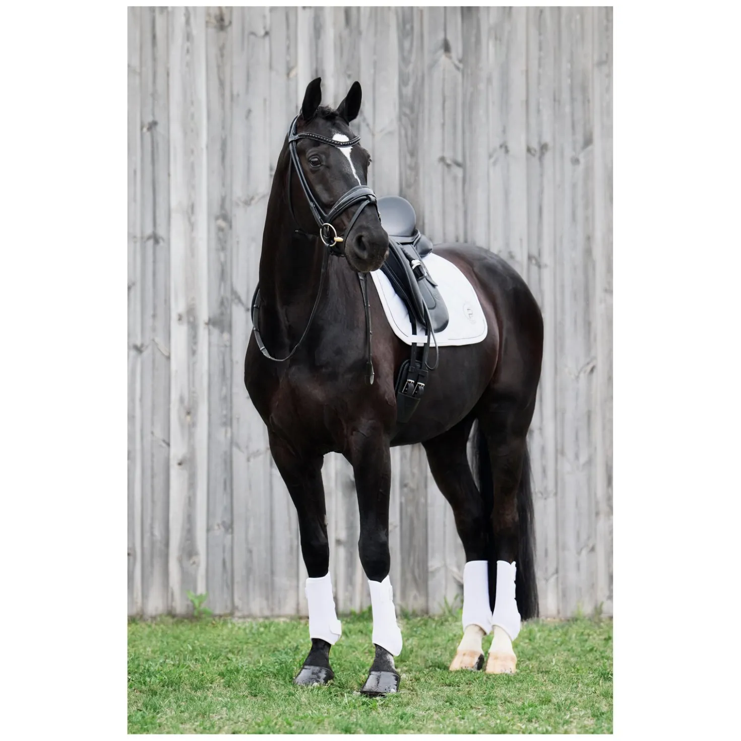 ESKADRON Platinum Schabracke Softshell Emblem