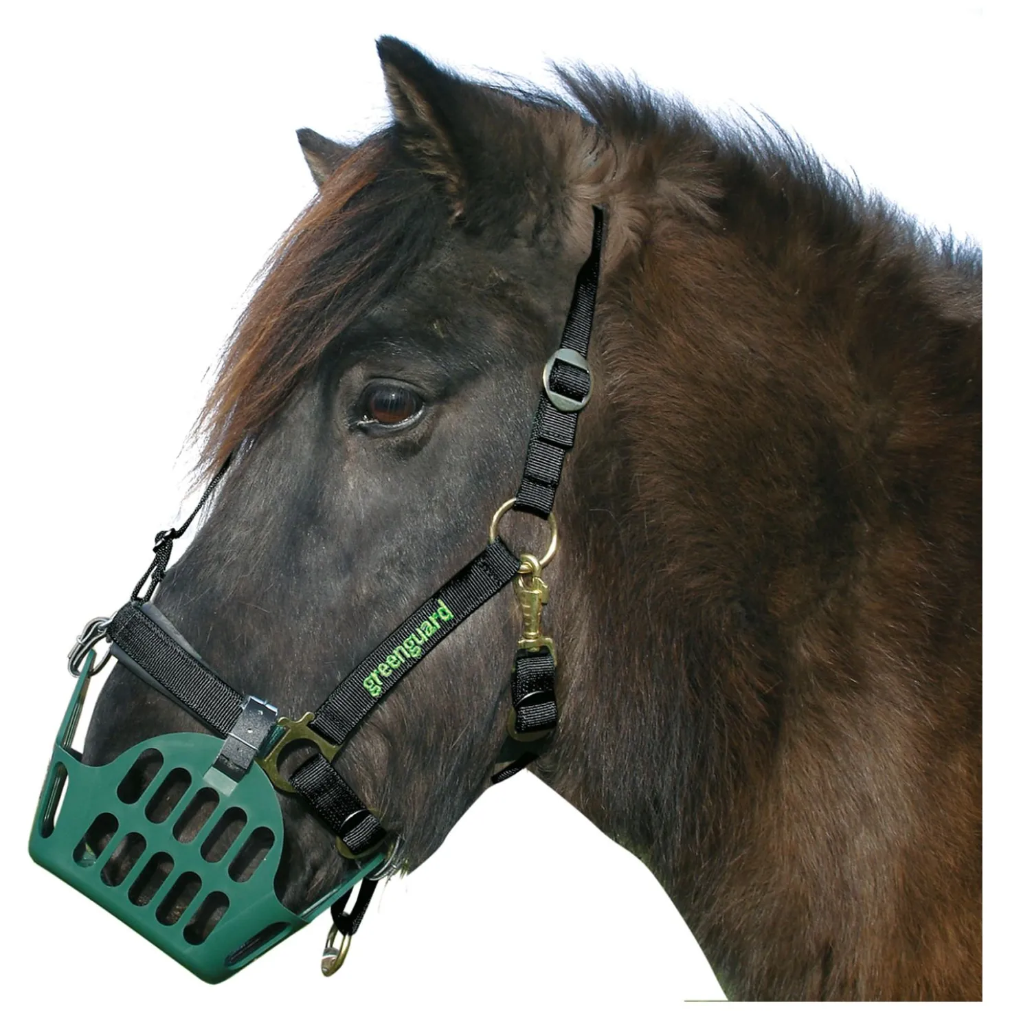 greenguard Halfter