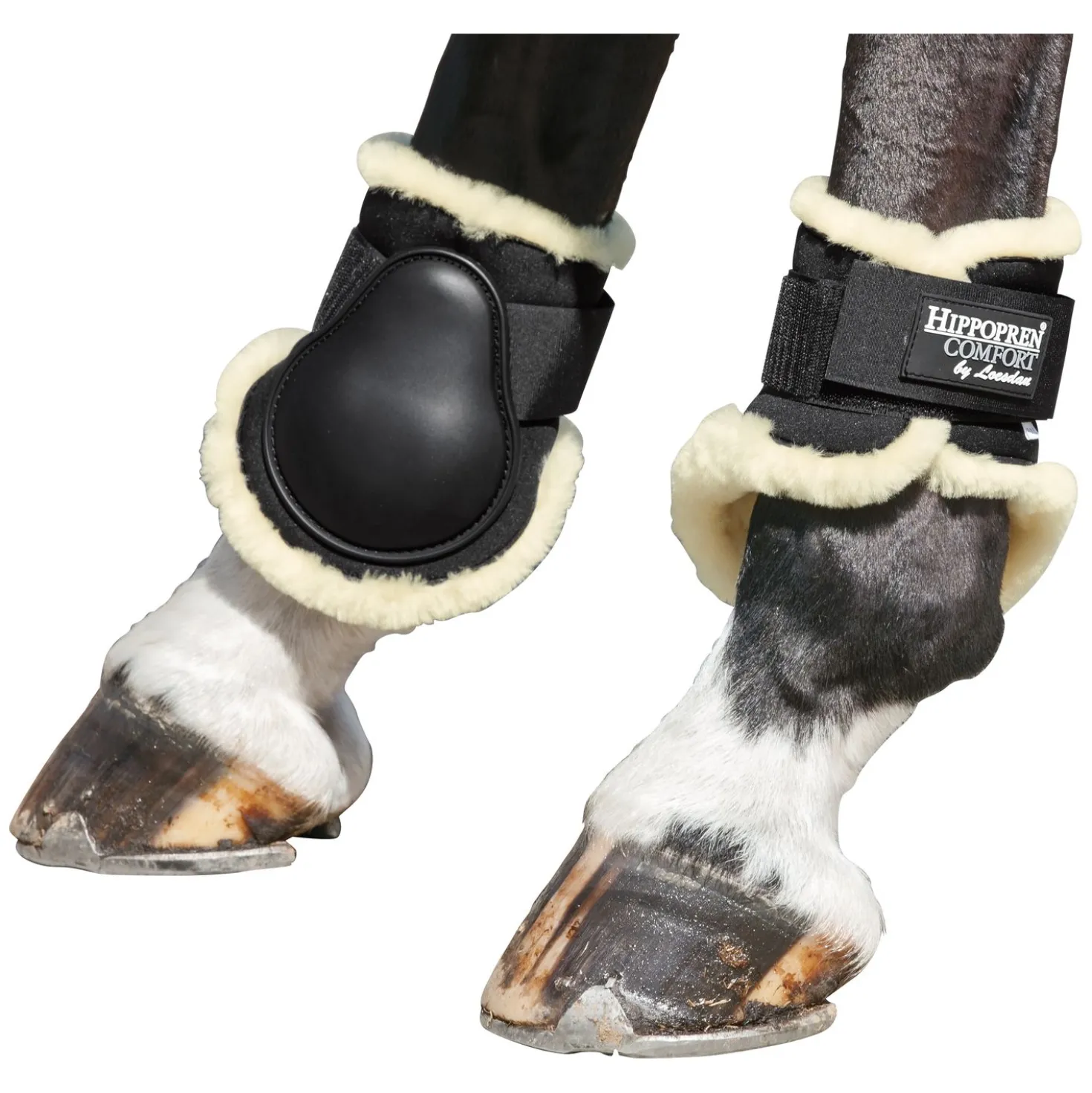 HIPPOPREN COMFORT Lammfell-Streichkappen, hinten