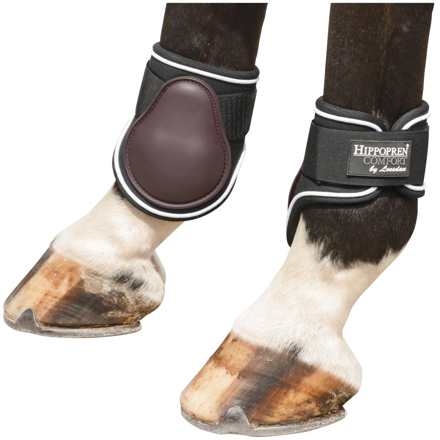 HIPPOPREN COMFORT Streichkappen Barcelona, hinten