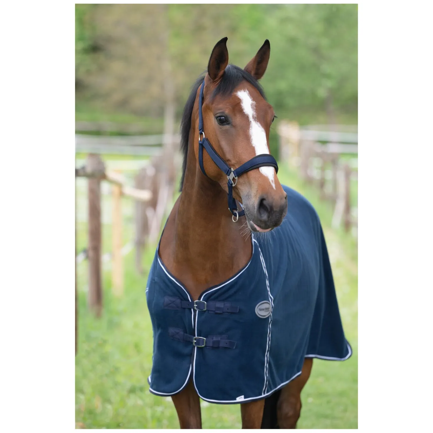 Horse-friends Abschwitzdecke