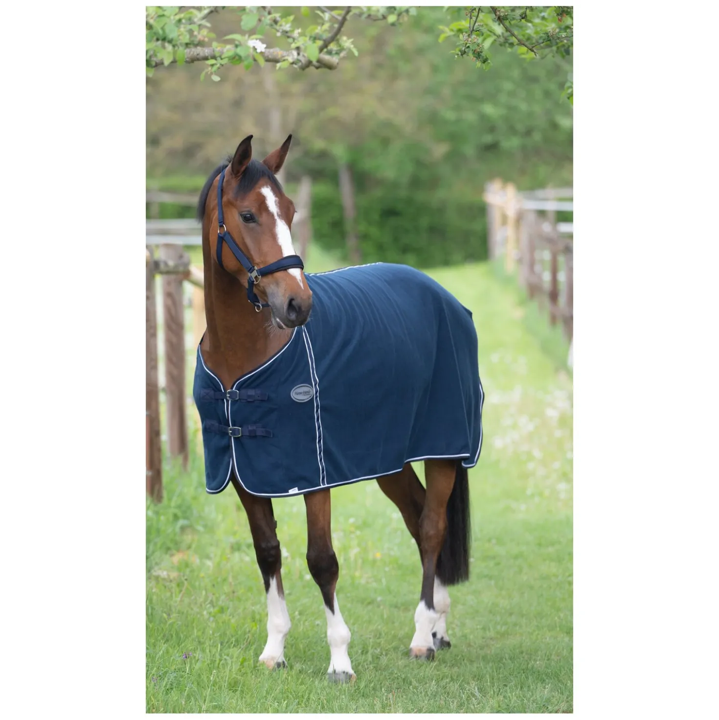 Horse-friends Abschwitzdecke