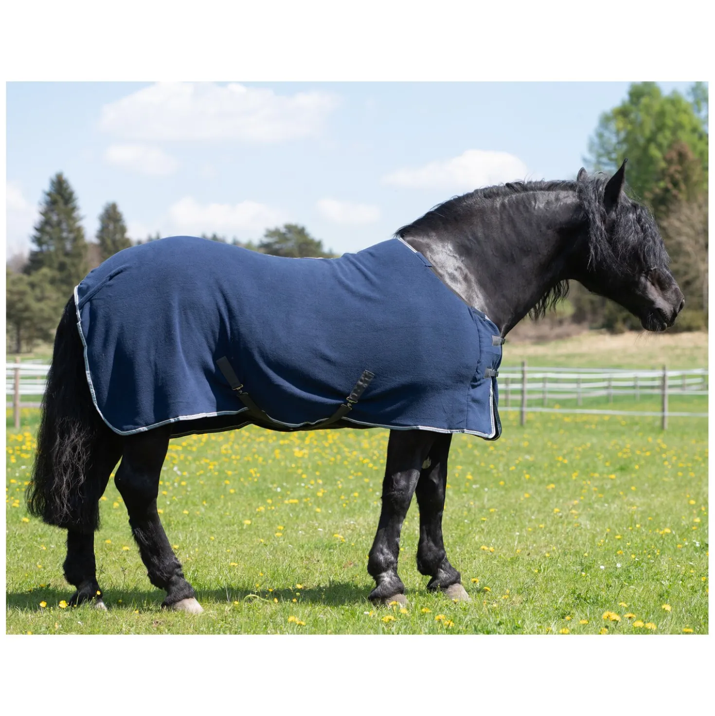 Horse-friends Abschwitzdecke Swindon XL
