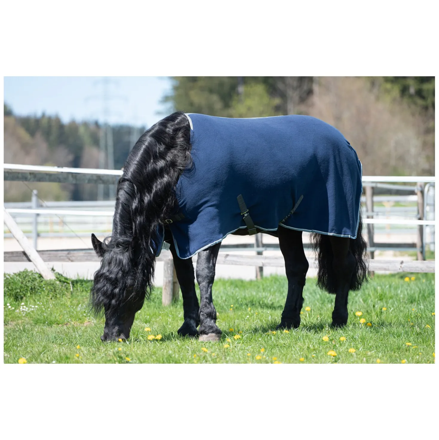 Horse-friends Abschwitzdecke Swindon XL