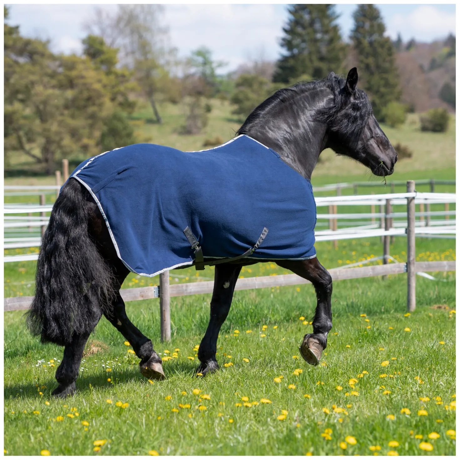 Horse-friends Abschwitzdecke Swindon XL