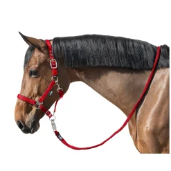 Horse-friends Führ- und Anbindestrick, für Pferde