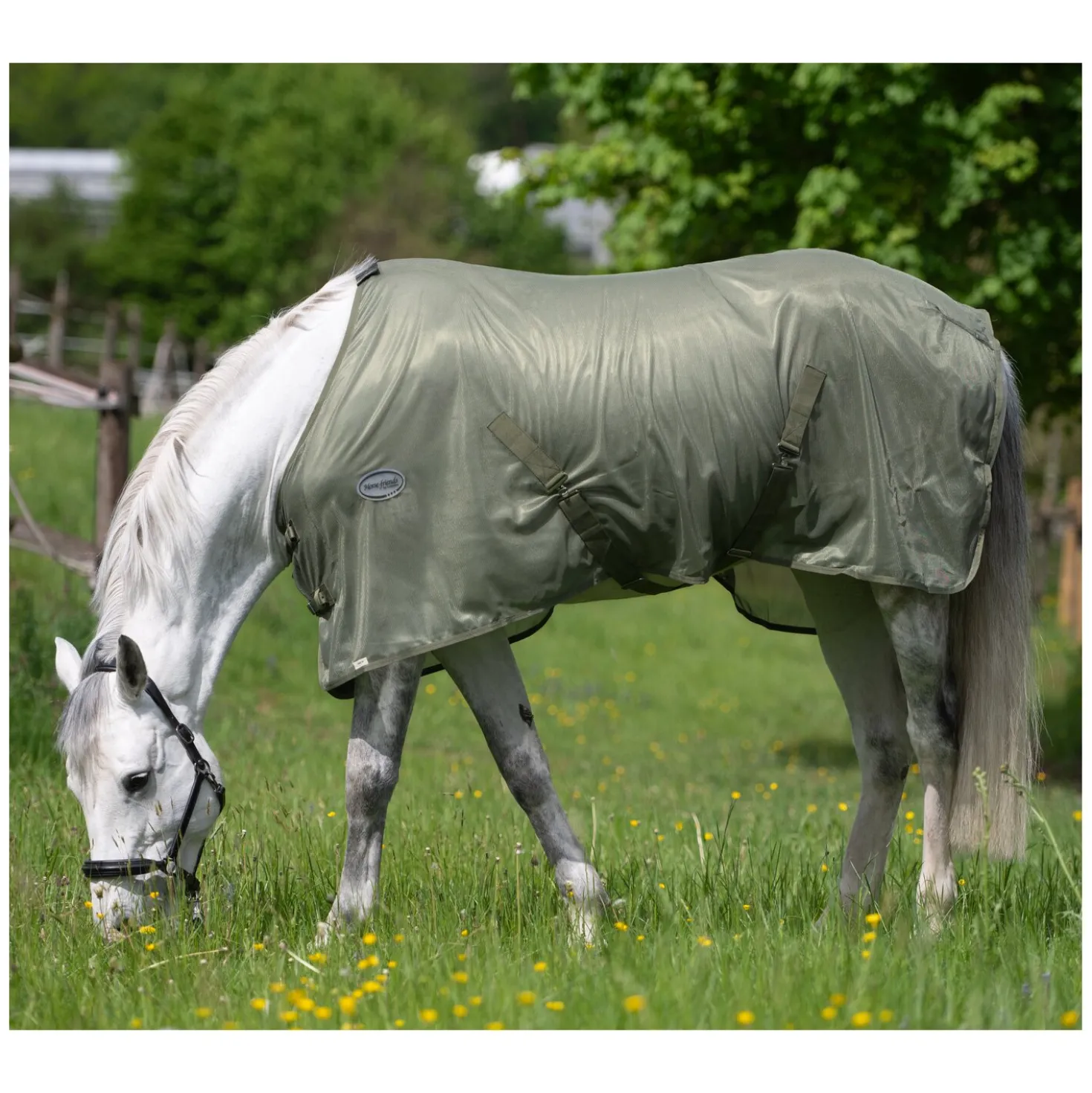 Horse-friends Fliegendecke feinmaschig