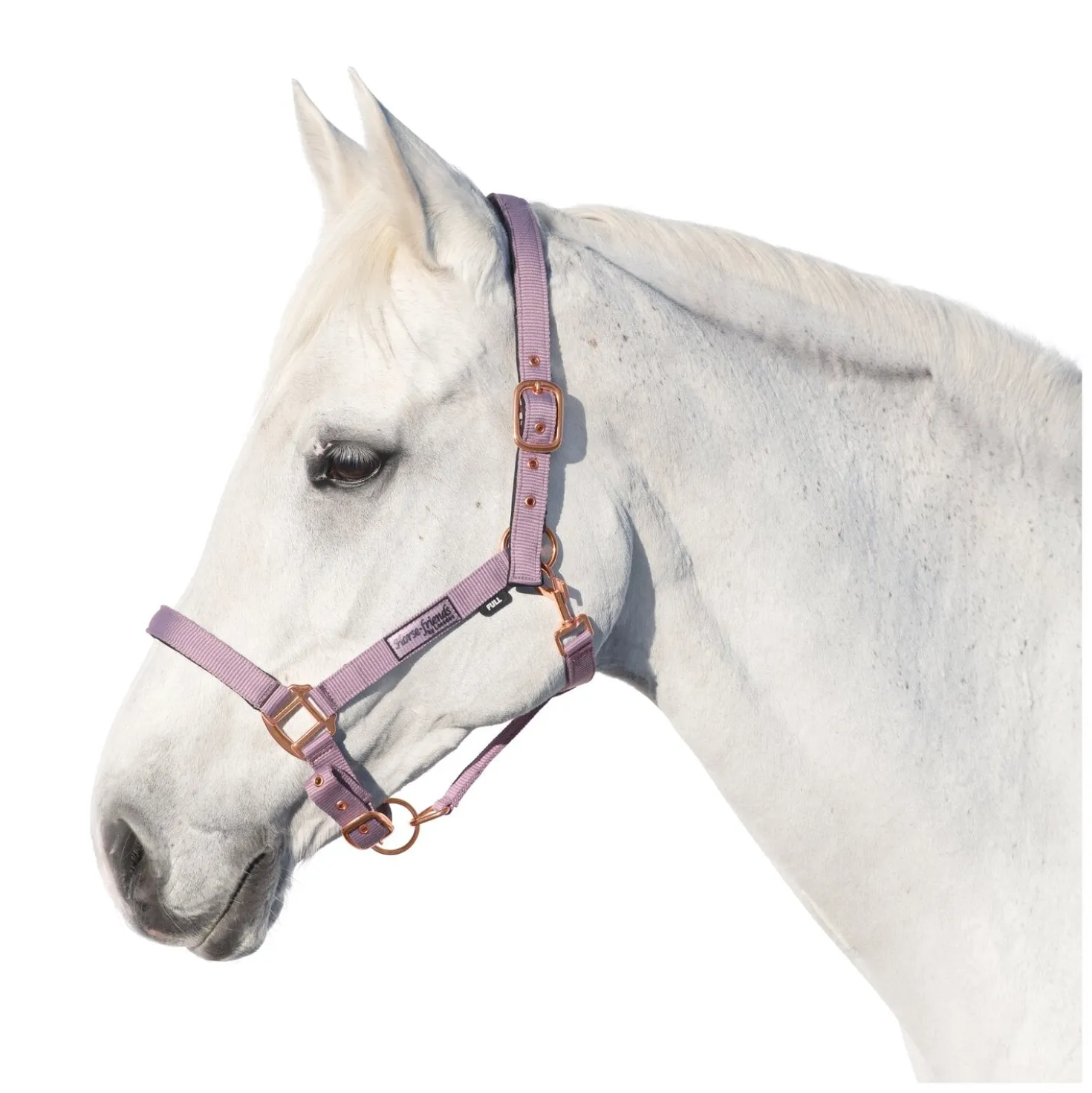 Horse-friends Halfter Lima