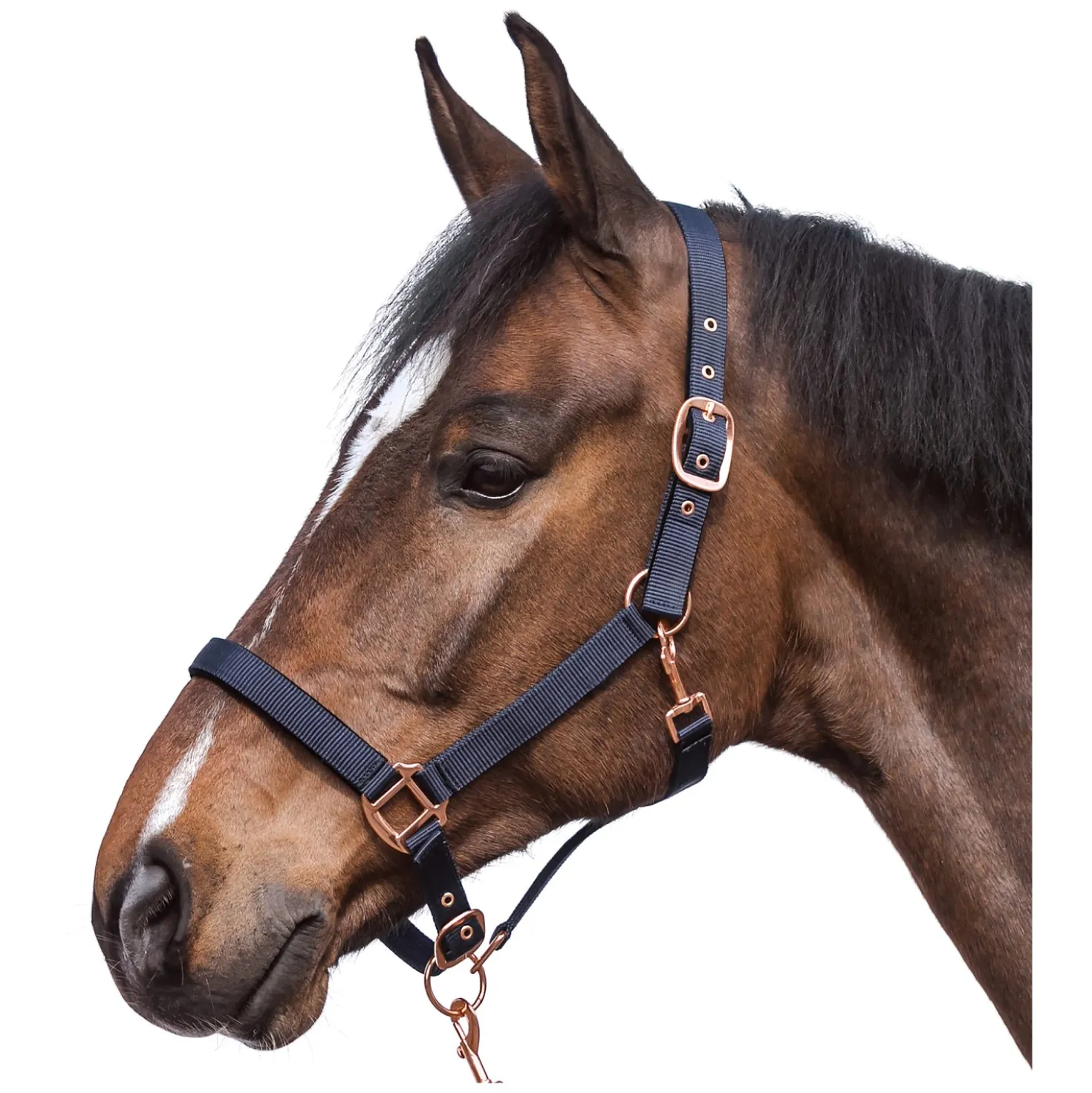 Horse-friends Halfter Lima