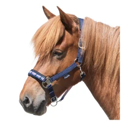 Horse-friends Island-Halfter Keflavik