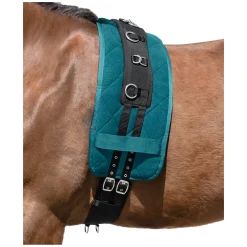 Horse-friends Longiergurt