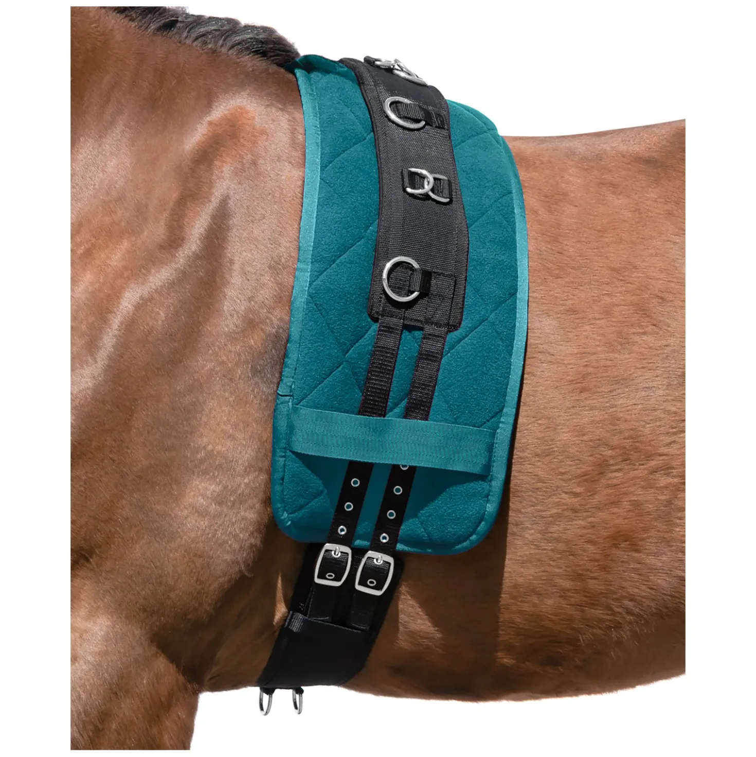 Horse-friends Longiergurt
