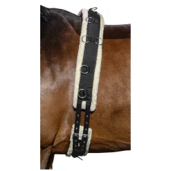 Horse-friends Longiergurt Comfort