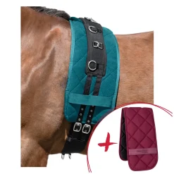 Horse-friends Set Longieren, Longiergurt + Unterlage
