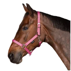Horse-friends Webhalfter Pin Buckle