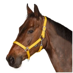 Horse-friends Webhalfter Pin Buckle