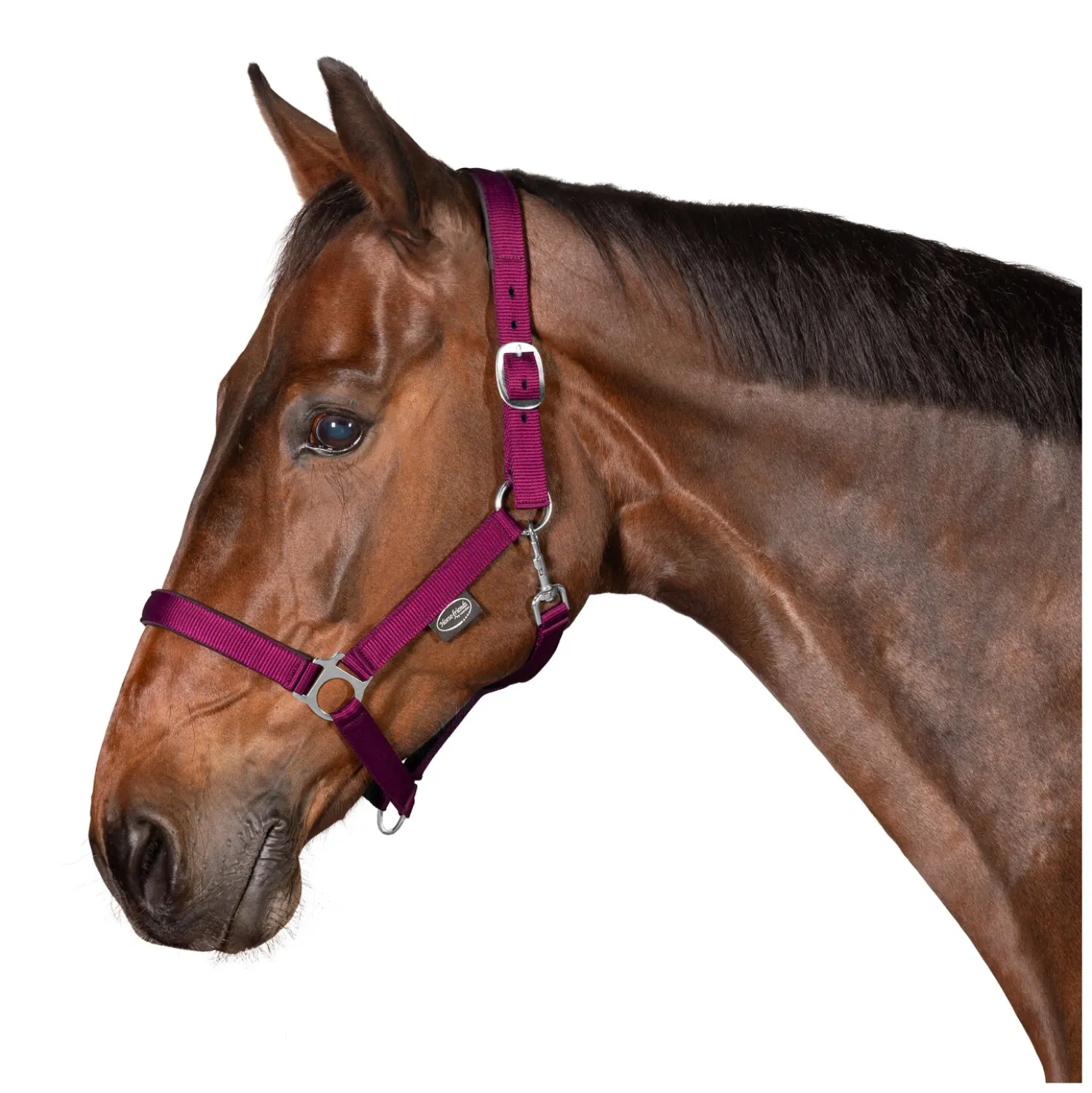 Horse-friends Webhalfter Pin Buckle