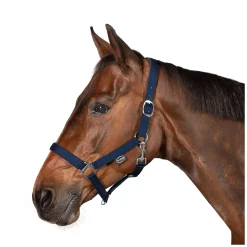 Horse-friends Webhalfter Pin Buckle