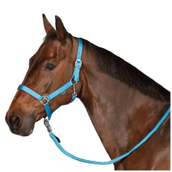 Horse-friends Webhalfter Pin Buckle
