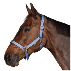 Horse-friends Webhalfter Pin Buckle