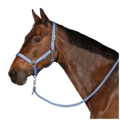 Horse-friends Webhalfter Pin Buckle