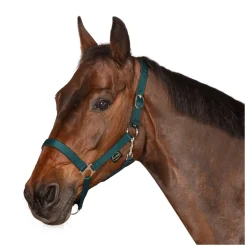 Horse-friends Webhalfter Pin Buckle