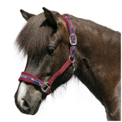 Horse-friends Webhalfter Take it Isi