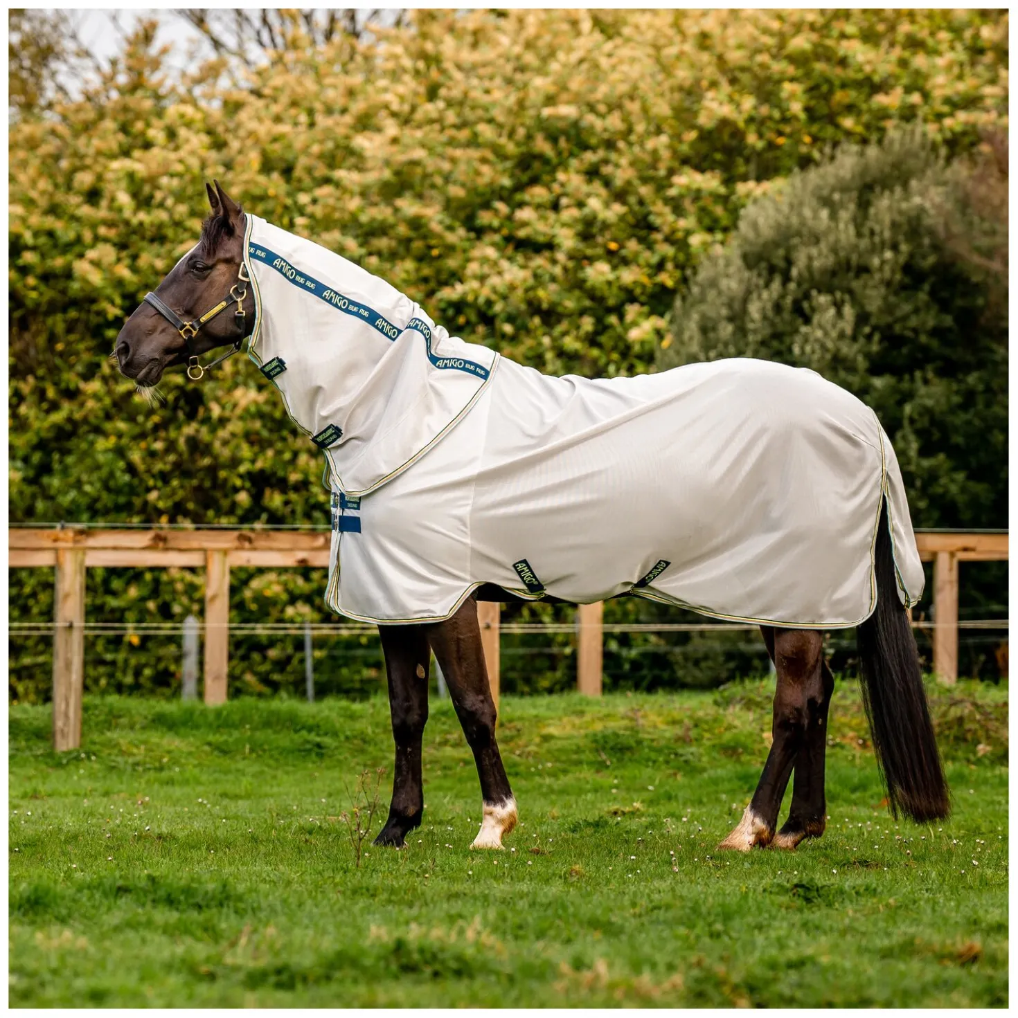 HORSEWARE Fliegendecke AMIGO Bug Rug