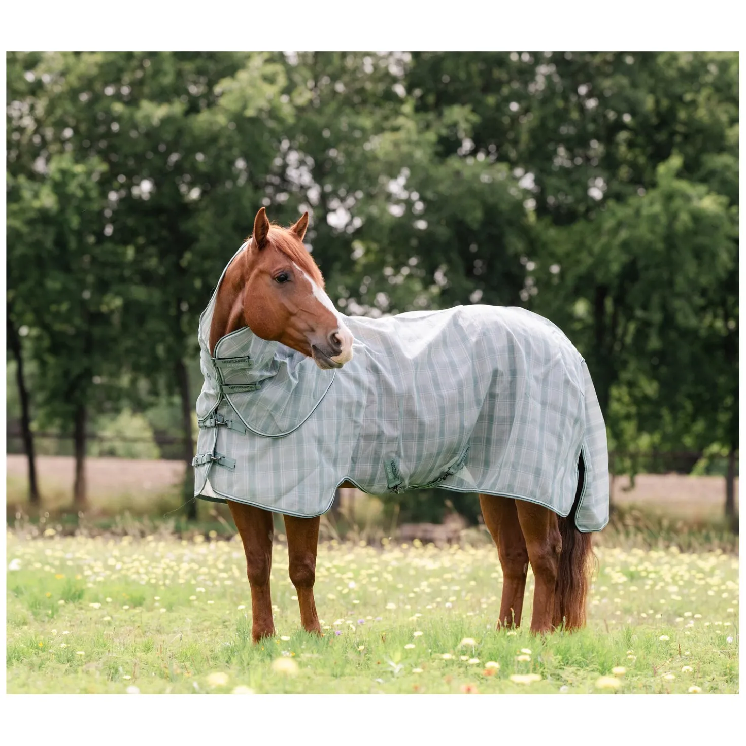 HORSEWARE Fliegendecke Newmarket Quarter Plus