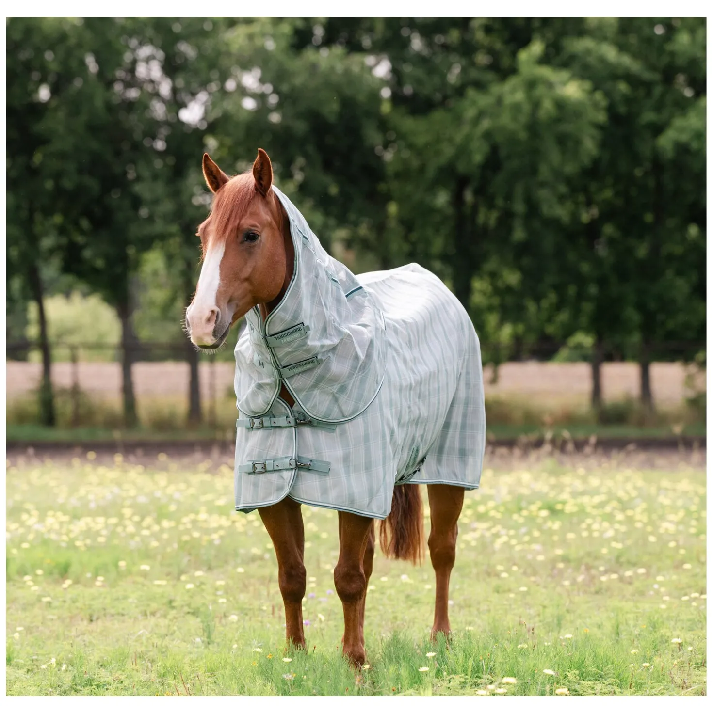 HORSEWARE Fliegendecke Newmarket Quarter Plus