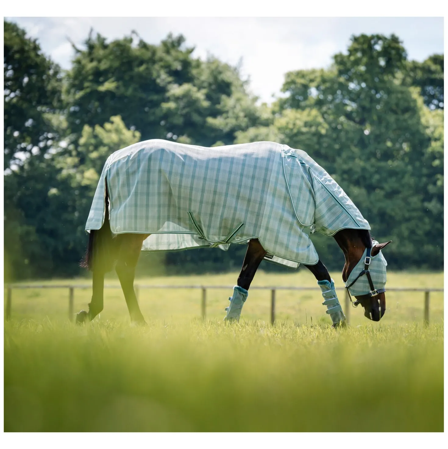 HORSEWARE Fliegendecke Newmarket Quarter Plus
