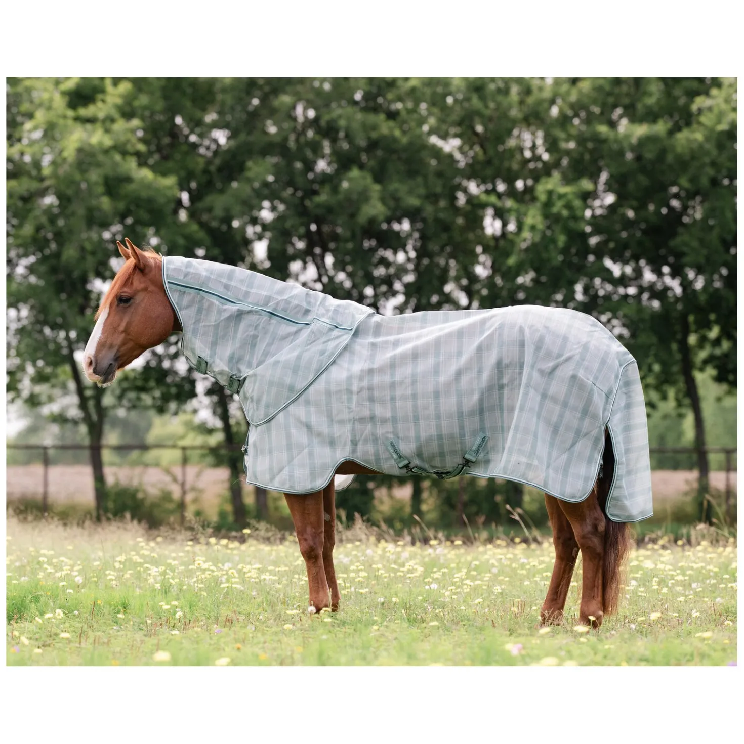 HORSEWARE Fliegendecke Newmarket Quarter Plus