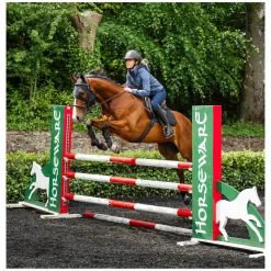 HORSEWARE Gesichtsmaske Ionic Calming Face Mask