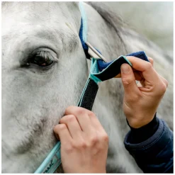 HORSEWARE Halfter Fieldsafe