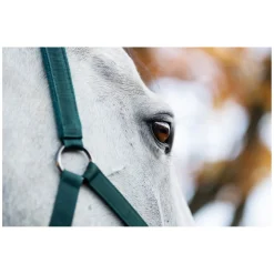 HORSEWARE Halfter und Führstrick