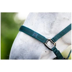 HORSEWARE Halfter und Führstrick