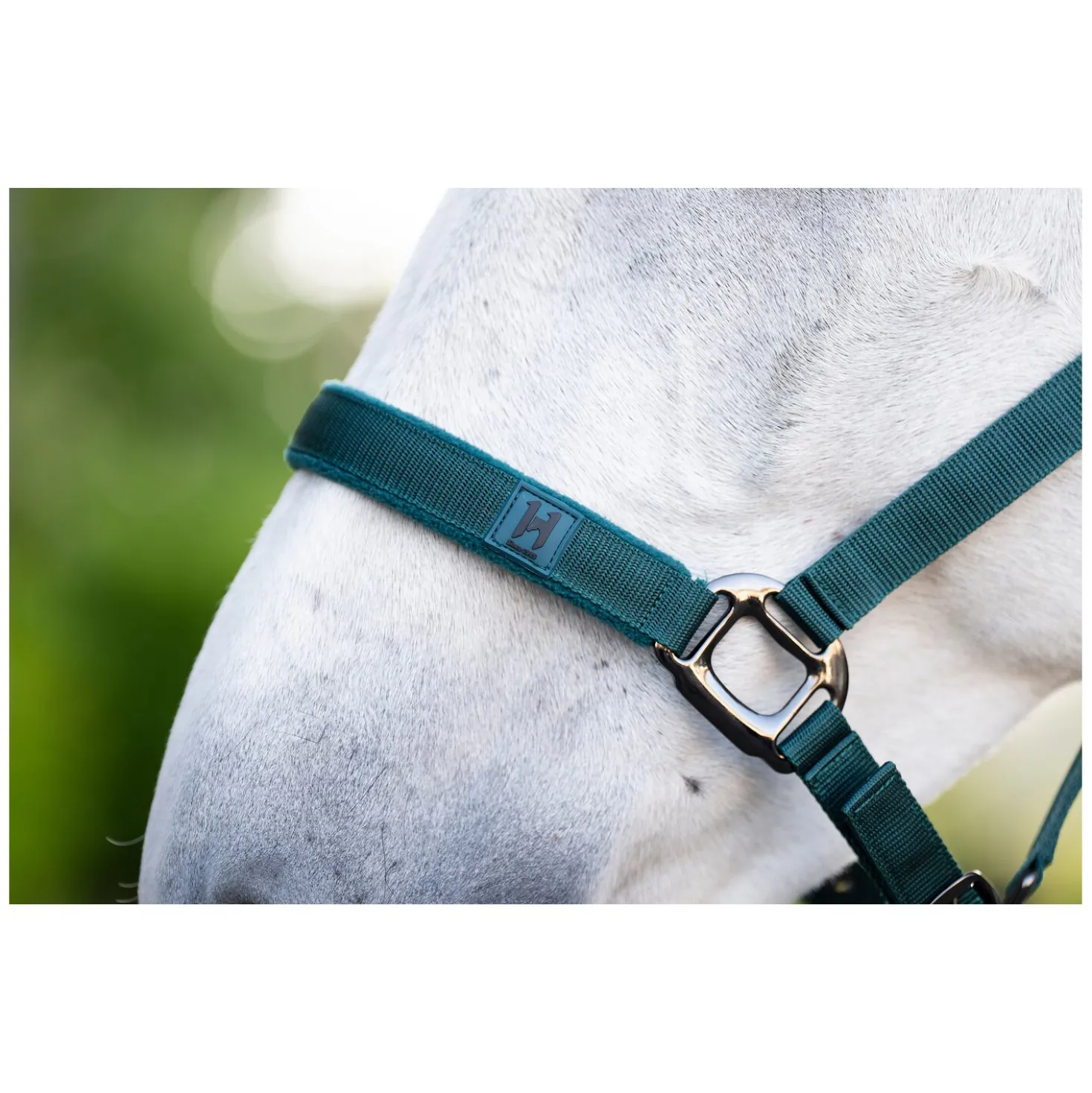 HORSEWARE Halfter und Führstrick