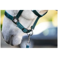 HORSEWARE Halfter und Führstrick