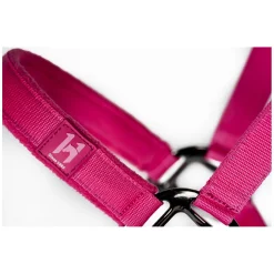 HORSEWARE Halfter und Führstrick Newmarket