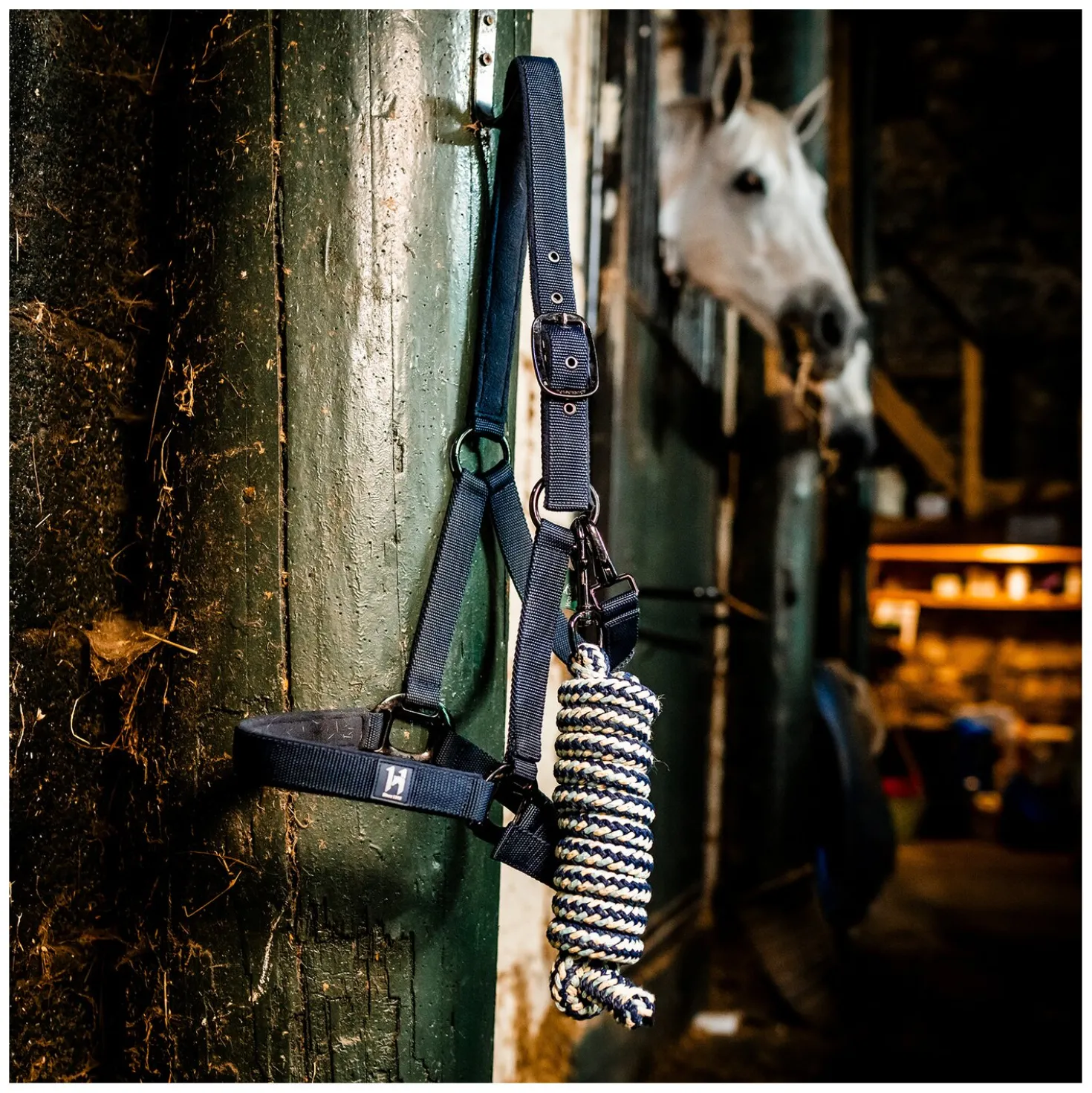 HORSEWARE Halfter und Führstrick Newmarket