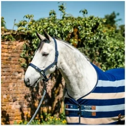 HORSEWARE Halfter und Führstrick Newmarket
