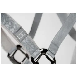 HORSEWARE Halfter und Führstrick Newmarket